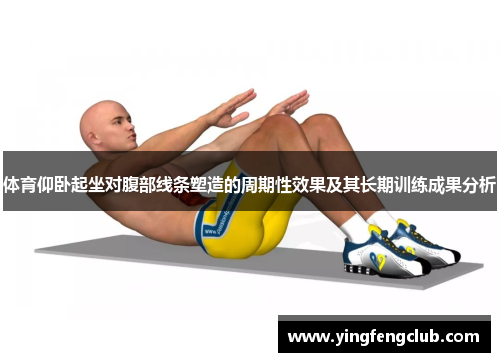 体育仰卧起坐对腹部线条塑造的周期性效果及其长期训练成果分析