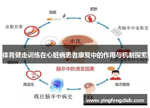 体育健走训练在心脏病患者康复中的作用与机制探索